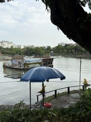 Blk 537 Pasir Ris Street 51 (Pasir Ris), HDB Executive #491769331